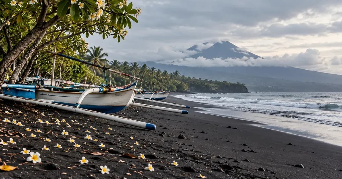 Wide view of a black-sand beach with a line of outriggers drawn up above the tideline in Bali, fallen plumeria petals scattered across the surface, under a soft overcast sky.